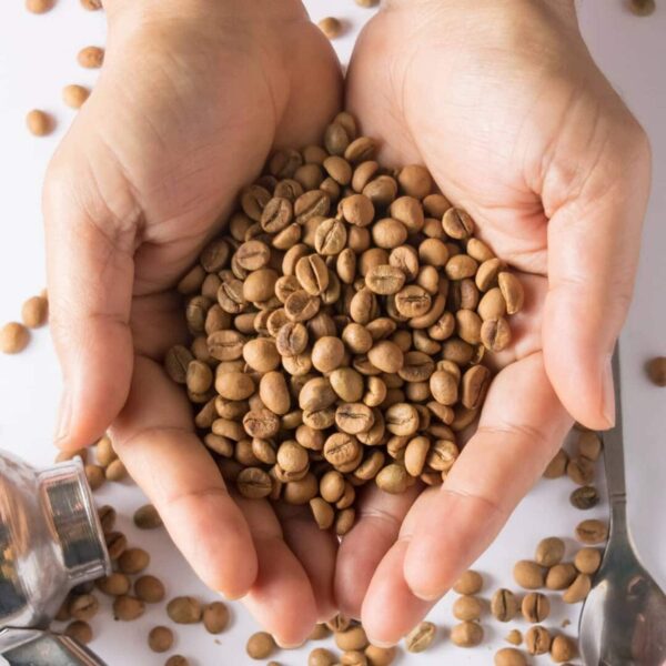 1lb Coffee Enema - Organic Enema Coffee - Best Organic Coffee for Enema - Gerson Approved Therapy Roast Coffee Detox Cleanse - Liver Cleanse Detox & Repair - Mold Free Coffee Colon Cleanse