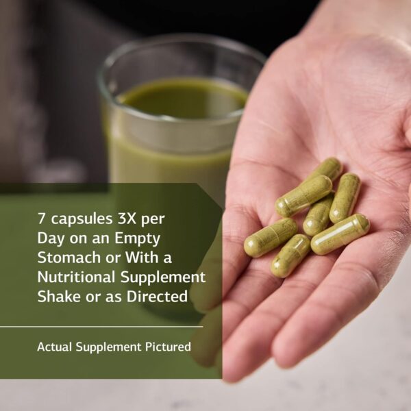 Standard Process SP Cleanse - Whole-Food Based Gallbladder, Kidney & Liver Support - Digestion & Toxin Cleanse with Collinsonia Root, Juniper Berry, Cordyceps Mushroom & More - 150 Caps