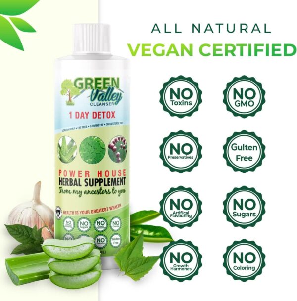 1 Day Colon Liquid Cleanse Formula and Liver Detox - Vegan Friendly, Helps Healthy Digestion, Gut Support, Boost Energy Levels and Bowl Movements | 8 Fl Oz