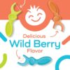 Plackers Kids Dual Gripz Floss Picks with Double Grip handle, Wild Berry Flavor, Colorful Floss Picks for Kids of All Ages, 75 Count (Pack of 4)