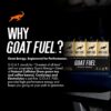 71RyEZloVoL._SL1500_.jpg G.O.A.T. Fuel Energy Drink, Natural Caffeine, Electrolytes, BCAAs, Cordyceps Mushrooms & Antioxidants, Lightly Carbonated Pre Workout & Sports Energy Drink, 12-Pack, 12 fl oz, Pineapple Cream Soda