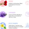 Hem Assorted Incense Sticks Variety 6 Incense Sticks Packs x 15 GMS-Aromatherapy Incense for Calm, Inscents Stick Gift Set, Perfect for Meditation and Relaxation (Hem Floral Series)