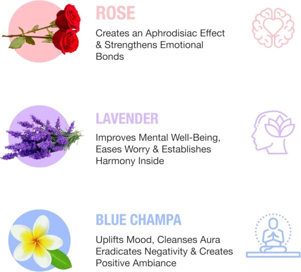 Hem Assorted Incense Sticks Variety 6 Incense Sticks Packs x 15 GMS-Aromatherapy Incense for Calm, Inscents Stick Gift Set, Perfect for Meditation and Relaxation (Hem Floral Series)