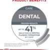 Royal Canin Feline Care Nutrition Dental Care Dry Cat Food, 6 lb bag