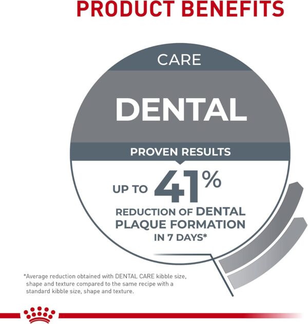 Royal Canin Feline Care Nutrition Dental Care Dry Cat Food, 6 lb bag