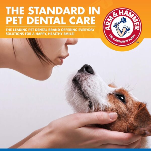 Arm & Hammer for Pets Dental Water Additive for Dogs, Tartar Control | Dog Dental Care Reduces Plaque & Tartar Buildup Without Brushing | Odorless and Flavorless, 16 Fl Ounces - 2 Pack