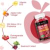 2 Pack Keto ACV Gummies - 4000mg Apple Cider Vinegar Gummies Sugar-Free with Probiotics, B12, Keto Supplements for Women & Men 240 Gummies