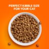 IAMS PROACTIVE HEALTH Adult Indoor Weight Control & Hairball Care Dry Cat Food with Chicken & Turkey Cat Kibble, 22 lb. Bag