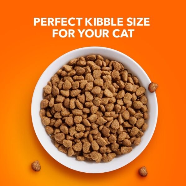IAMS PROACTIVE HEALTH Adult Indoor Weight Control & Hairball Care Dry Cat Food with Chicken & Turkey Cat Kibble, 22 lb. Bag