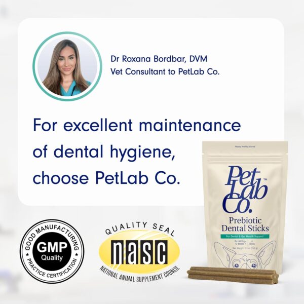 PetLab Co. Dental Sticks – Dog Dental Chews -Target Plaque & Tartar Build-Up at The Source - Designed to Maintain Your Dog’s Oral Health, Keep Breath Fresh and Provide Digestive Help (6 Sticks)