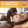 Arm & Hammer Complete Care Dog Dental Spray | Mint Flavor Dog Dental Spray for Easy Brushless Cleaning | Baking Soda Enhanced Formula for Fresh Breath and Tartar Control, 6 Fl Oz - 2 Pack