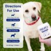 PetLab Co. Joint Care Chews for Dogs - High Levels of Glucosamine, Green Lipped Mussels, Omega 3 and Turmeric - Hip and Joint Supplement for Dogs to Actively Support Mobility