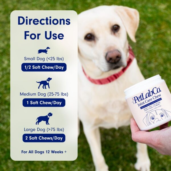 PetLab Co. Joint Care Chews for Dogs - High Levels of Glucosamine, Green Lipped Mussels, Omega 3 and Turmeric - Hip and Joint Supplement for Dogs to Actively Support Mobility