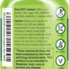 NATURELO Immune Support – Vitamin C, Elderberry, Zinc, Echinacea – Natural Immunity Boost w/Antioxidant, Herbal & Mineral Defense - 60 Vegan Capsules (Pack of 2)
