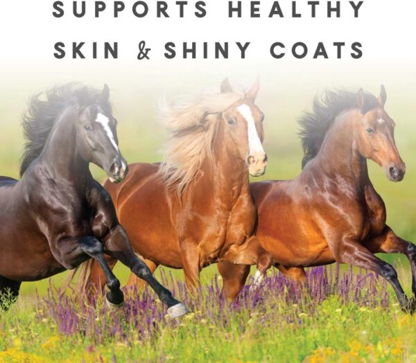 Manna Pro Sho-Glo Supplement for Horses - Complete Vitamin & Mineral Supplement for Healthy Skin & Coat - 25 Pounds