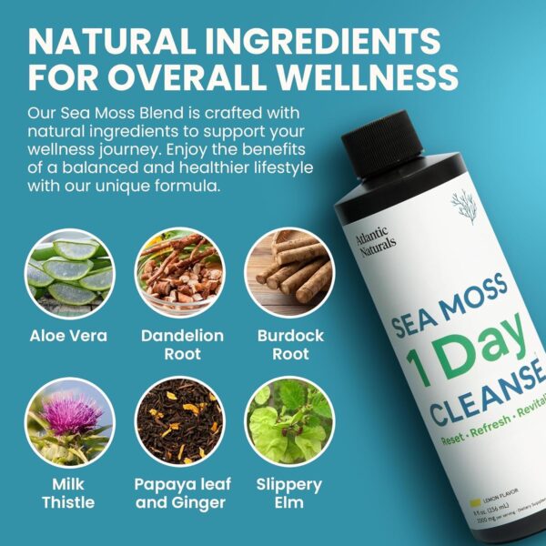 Atlantic Naturals - 1 Day Colon Cleanse Full Body Detox Drink - Sea Moss Supplement for Women & Men, Gut Health, Kidney & Liver Immune Energy Enhancer Gut Cleanse - Lemon Flavor Juice, 8 fl oz