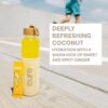 Cure Hydrating Electrolyte Mix | Powder for Dehydration Relief | Made with Coconut Water | No Added Sugar | FSA & HSA | Vegan | Paleo Friendly | Pouch of 14 Packets - Ginger Turmeric