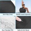 APEXUP Yoga Ball Exercise Ball, Pilates Ball, Anti Slip Stability Ball, Heavy Duty Gym Ball for Fitness, Balance, Core Workout, Physical Therapy