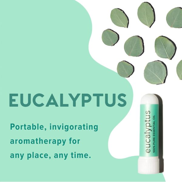 MOXĒ Eucalyptus Essential Oil Nasal Inhaler, Sinus & Congestion Relief, Daily Relaxation, Stress Relief, Therapeutic No-Mess Aromatherapy, Pure and Natural, Made in USA (3 Pack)