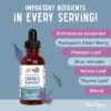 MaryRuth Organics Lymphatic Support Drops | USDA Organic Lymphatic Cleanse Immune Support Supplement| Lymphatic Support with Echinacea & Elderberry | Blue Vervain | Vegan | Non-GMO | 30 Servings |