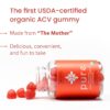 WellPath Pure Organic Apple Cider Vinegar Gummies from The Mother | USDA ACV Gummy with Ginger for Gut Health | Vegan, Non-GMO, 60 Ct