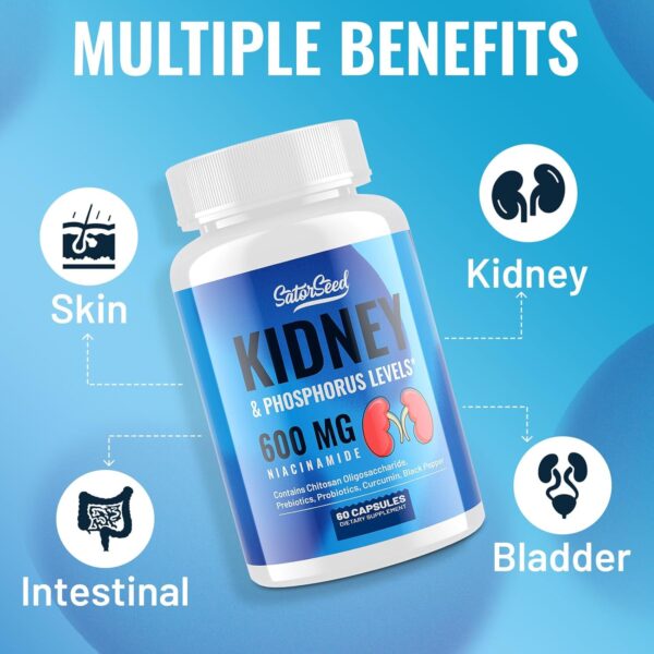 Kidney Support Supplement Cleanse Detox Kidney Chitosan Oligosaccharides Supplement, Niacinamide 600mg, Kidney & Phosphorus Levels, for Adult (2 Bottle)