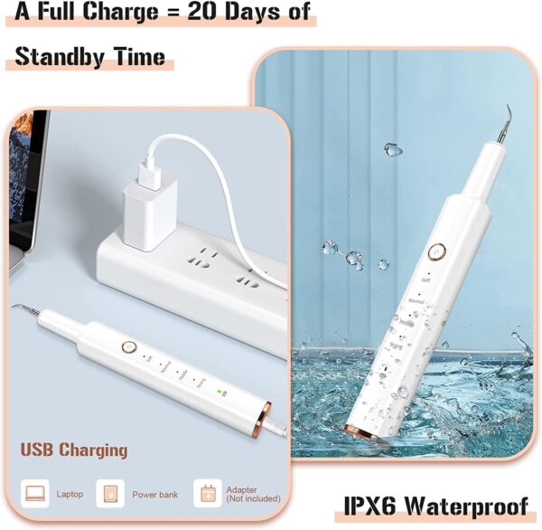 Plaque Remover for Teeth, Electric Tooth Cleaner Tartar Remover for Teeth with LED Light,4 Modes Rechargeable Teeth Cleaning Kit with Dental Tools, 2 Replaceable Heads (White A)