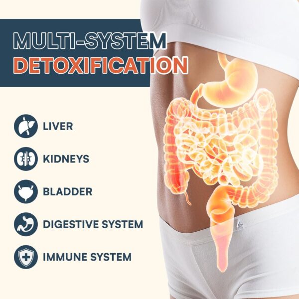 10,000 MG Detox Powder Supplement, Fast-Acting Detox and Liver Cleanser, Full Body Detox, Multi-System Cleanse Detox & Repair for Liver, Kidney, Digestion & Immune, 30 Servings