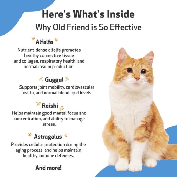 Pet Wellbeing Old Friend for Senior Cats - Supports Immune System Health, Joint Mobility, Healthy Energy Levels, Alfalfa, Reishi - Veterinarian-Formulated Herbal Supplement 2 oz (59 ml)