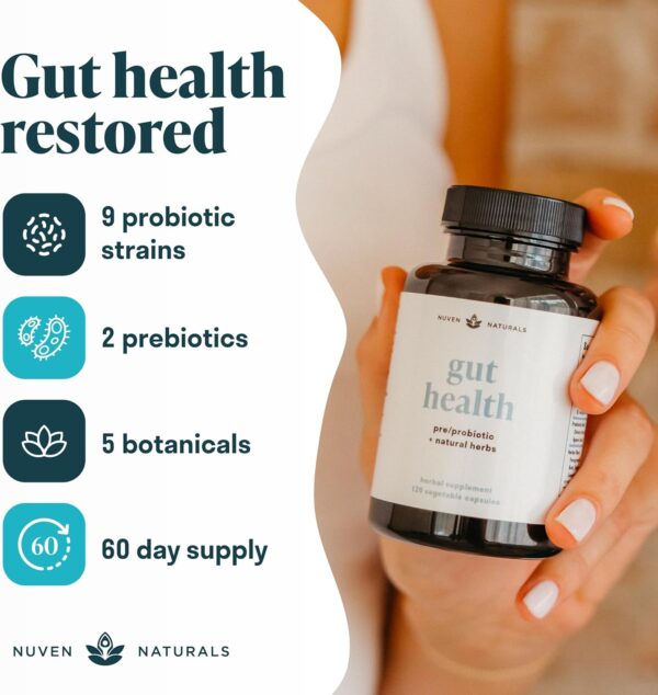 All-in-One Gut Health w/Probiotics, Prebiotics, Digestion-Supporting Herbs, and Adaptogens - Leaky Gut Repair Formula to Support Gut Lining, Aid in Digestion, and Promote Good Bacteria