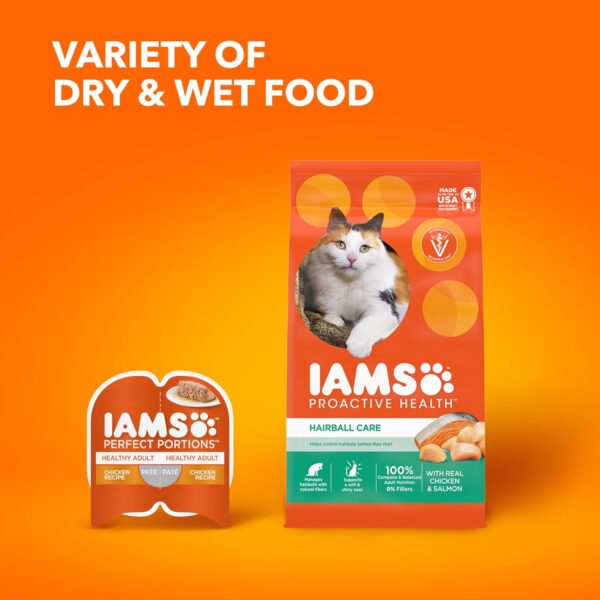 IAMS PROACTIVE HEALTH Adult Hairball Care Dry Cat Food with Chicken and Salmon Cat Kibble, 16 lb. Bag