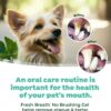 TropiClean Clean Teeth Gel for Dogs | Dog Dental Care | Dog Toothpaste | Breath Freshener | Easy Teeth Cleaning | Made in The USA | 2 oz.