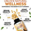 Turmeric Curcumin Supplement 1950mg with Organic Turmeric & Ginger, 95% Curcuminoids, BioPerine Black Pepper for Best Absorption, Nature's Vegan Joint Support, Non-GMO, Bottled in USA - 240 Capsules