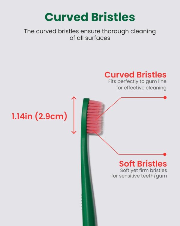 Euthymol Toothbrush (Regular, 6 Count) - Standard-Sized, Curved Soft Bristles for Sensitive Teeth, Gums. Effective, Gentle Cleaning for Entire Family.