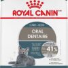 Royal Canin Feline Care Nutrition Dental Care Dry Cat Food, 3 lb bag
