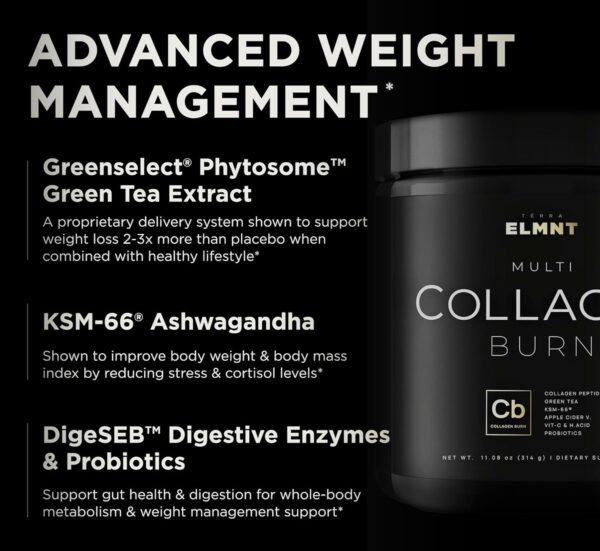 ELMNT Super Collagen Powder for Women Weight Loss + Beauty w. Probiotics, Hyaluronic Acid, ACV, KSM-66, Biotin - Premium Multi Collagen Peptides Protein Supplement Colageno for Women (Unflavored)