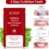 Teeth Whitening Strips for Teeth Sensitive, Professional Teeth Whitening Kit for Coffee Drinker, 28 Teeth Whitener Strips Coconut Flavor, 14 Treatments Easy to Use