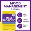 InnovixLabs Mood Probiotic Supplement - Clinically Studied Digestive & Mood Probiotics for Women and Men with Lactobacillus helveticus Rosell-52ND & Bifidobacterium longum Rosell-175, 60 Capsules
