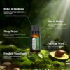 Natural Essential Oil Set, 12 Best Aromatherapy Diffuser Oils with Gift Box & Bag, Essential Oils for Diffusers for Home, Candle Making Scents -Lavender,Lemon,Orange,Vanilla,Jasmine,Rose, Peppermint