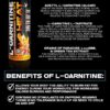 VMI Sports L-Carnitine 1500 Heat Stimulant Free Thermogenic Metabolic Support & Fat Loss for Men & Women | 1500mg L-Carnitine | Convenient Liquid (Patriot Pop)