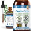 Rejuvica Health Cleanse Drops - Advanced Kidney & Gallbladder Cleanse Support Supplement - Liquid Delivery for Better Absorption - Chanca Piedra Used in Amazonian Rainforest