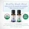 OraWellness Nut Free Healthy Mouth Blend Organic Toothpaste & Mouthwash Alternative Tooth Oil, Natural Mouth Rinse for Healthy Teeth & Gums for Women, Men and Kids, Pack of 3