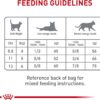 Royal Canin Feline Care Nutrition Dental Care Dry Cat Food, 6 lb bag