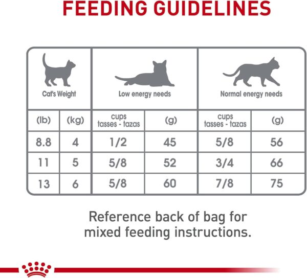 Royal Canin Feline Care Nutrition Dental Care Dry Cat Food, 6 lb bag