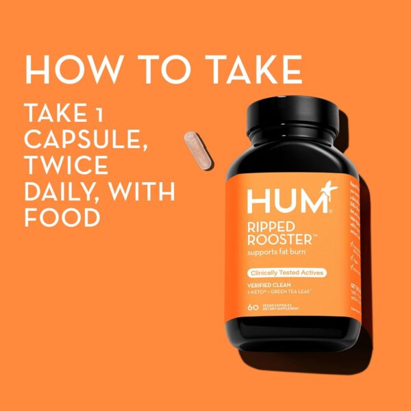 HUM Ripped Rooster - Natural Green Tea Supplement to Boost Metabolism, Control Cravings, Burn Fat & Support a Healthy Diet & Weight Management (60-Count)
