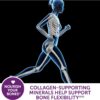 Caltrate 600 Plus D3 Plus Minerals Calcium and Vitamin D Supplement Tablets, Bone Health and Mineral Supplement for Adults - 165 Count