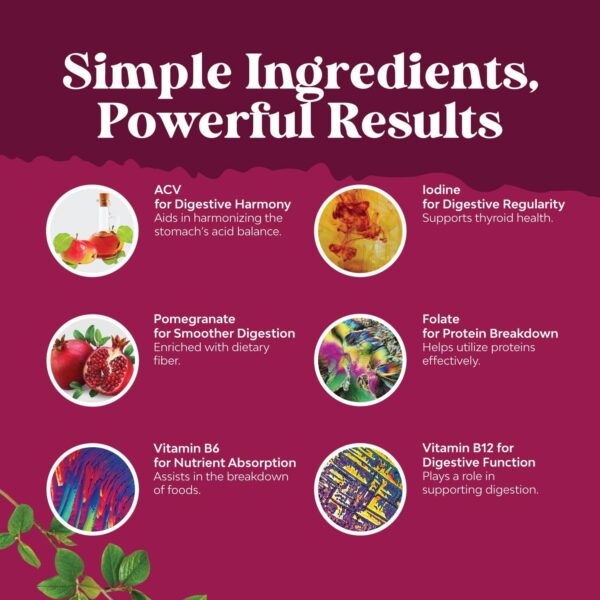 Apple Cider Vinegar Gummies for Weight Loss - Cleanse & Detox Gummies for Gut Health, Bloating & Energy Support - ACV Chews with B12 Vitamin, B6 & Pomegranate for Better Metabolism - 60 Count