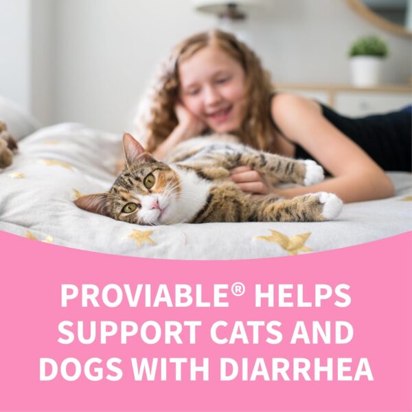 Nutramax Proviable Digestive Health Supplement Multi-Strain Probiotics and Prebiotics for Cats and Dogs - with 7 Strains of Bacteria, 80 Capsules, blue