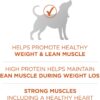 Purina ONE Plus Healthy Weight High-Protein Dog Food Dry Formula - 16.5 lb. Bag