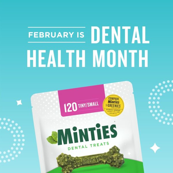Minties Dental Chews for Dogs, 40 Count, Vet-Recommended Mint-Flavored Dental Treats for Tiny/Small Dogs 5-24 lbs, Dental Bones Clean Teeth, Fight Bad Breath, and Removes Plaque and Tartar